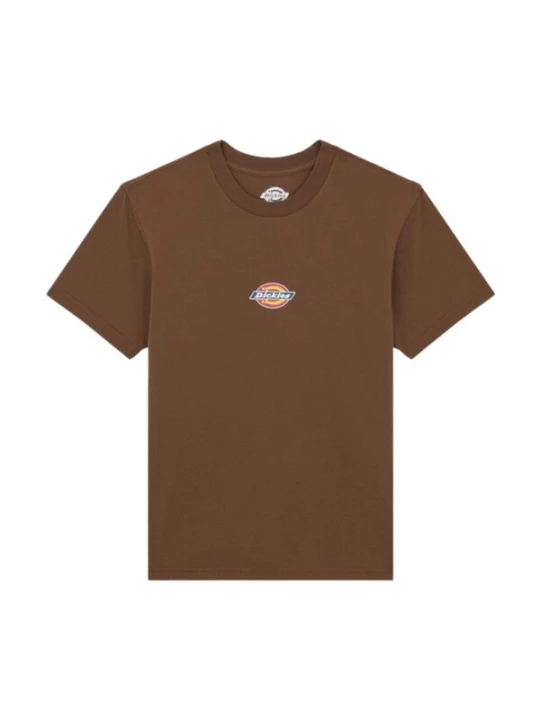 Foto van product DICKIES Shirt 'DICKIES MAPLE VALLEY REG TEE W T-SHIRT' bruin