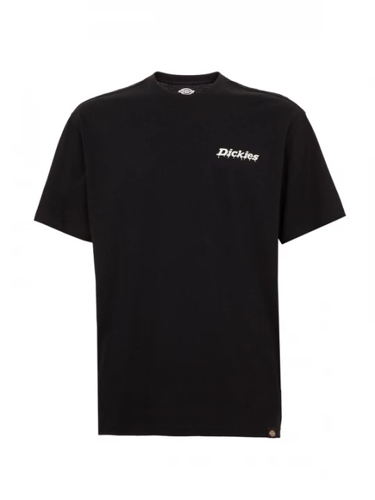 Foto van product DICKIES Shirt 'Statesville' pastelroze / zwart