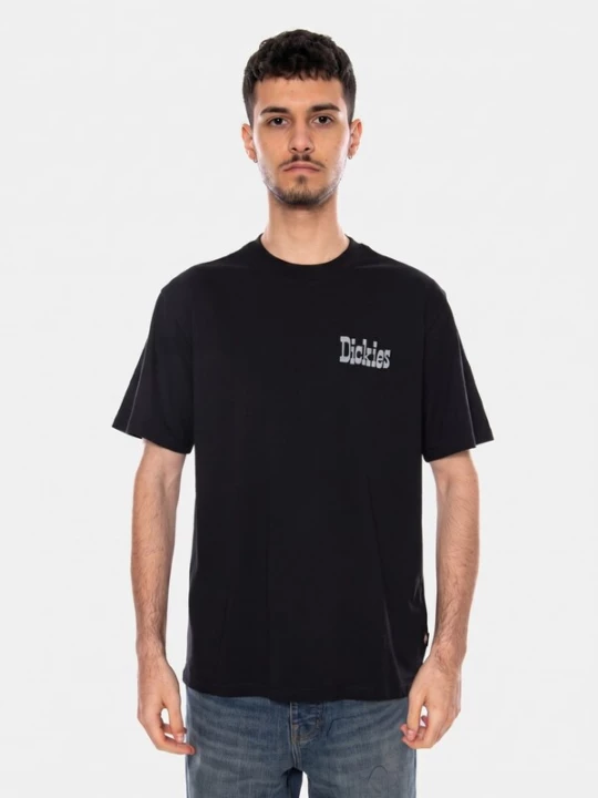 Foto van product DICKIES Shirt 'VERNAL' zwart