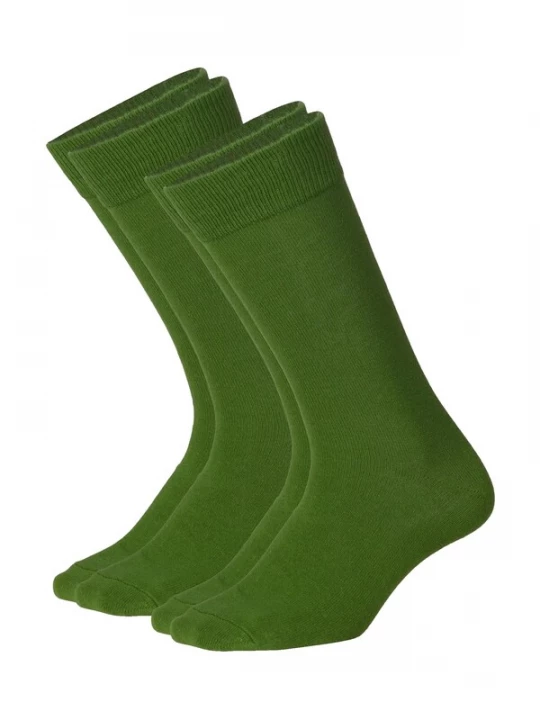 Foto van product DillySocks Sokken 'D-Compose 2er Set' groen