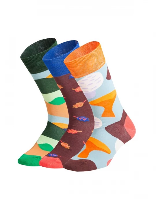 Foto van product DillySocks Sokken 'Fall Wonders' blauw / donkergroen / oranje