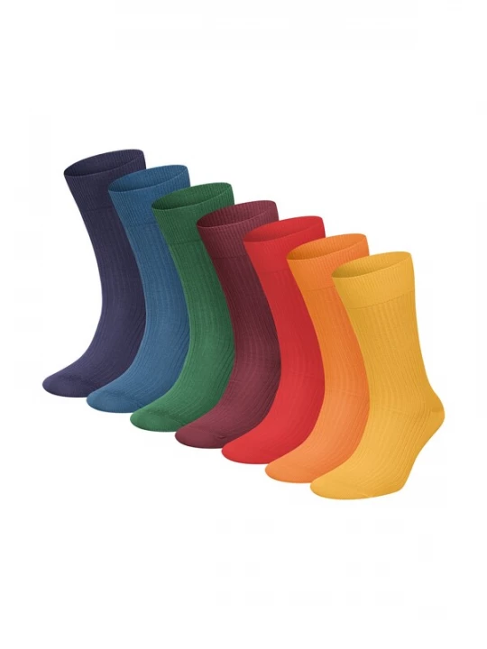 Foto van product DillySocks Sokken gemengde kleuren