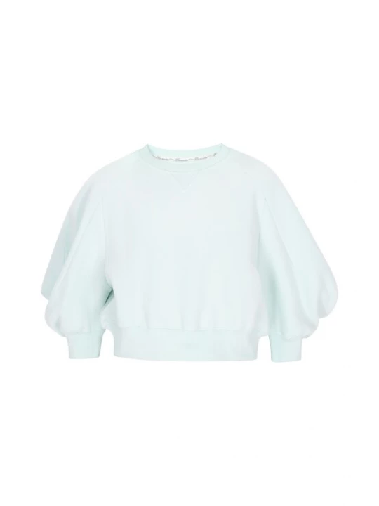 Foto van product DreiMaster Vintage Sweatshirt mintgroen