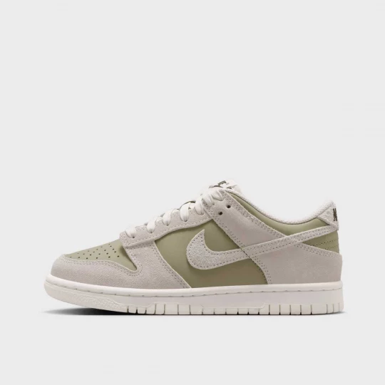Foto van product Dunk Low BG (GS) Nike groen