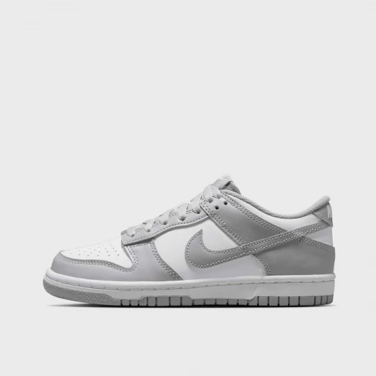 Foto van product Dunk Low (GS) Nike grijs