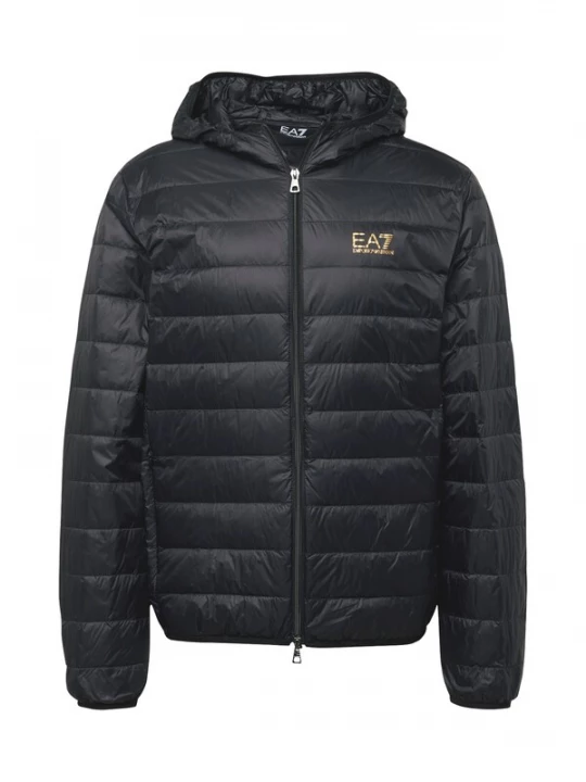 Foto van product EA7 Emporio Armani Tussenjas goud / zwart