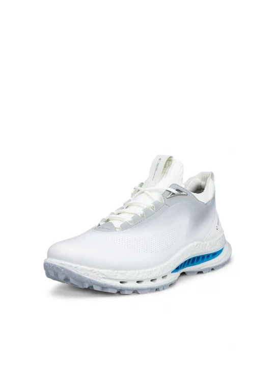 Foto van product ECCO Sneakers laag 'M GOLF BIOM C5' grijs / wit
