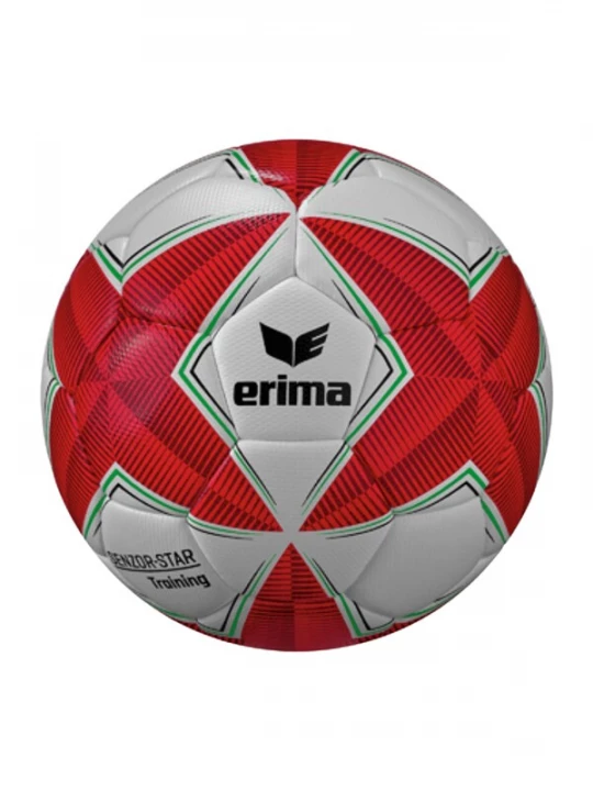 Foto van product ERIMA Bal grijs / groen / rood