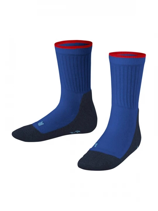 Foto van product FALKE Sokken blauw / navy / rood