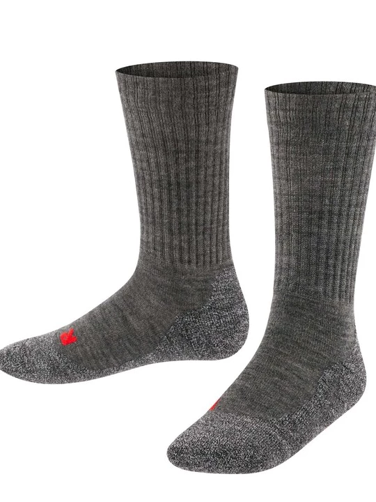 Foto van product FALKE Sokken donkergrijs / rood