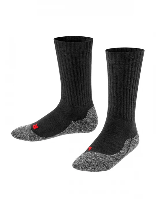 Foto van product FALKE Sokken donkergrijs / rood / zwart
