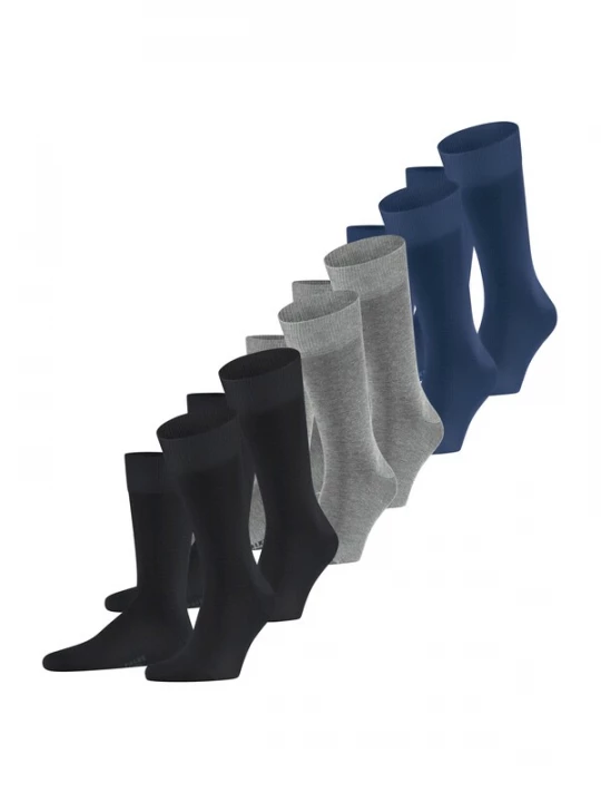 Foto van product FALKE Sokken enziaan / grijs gemêleerd / zwart