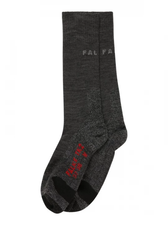 Foto van product FALKE Sokken grijs