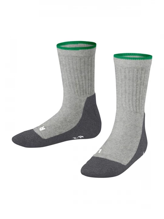 Foto van product FALKE Sokken grijs / antraciet / groen / wit