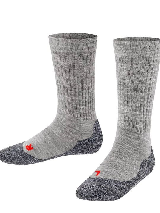 Foto van product FALKE Sokken grijs / donkergrijs