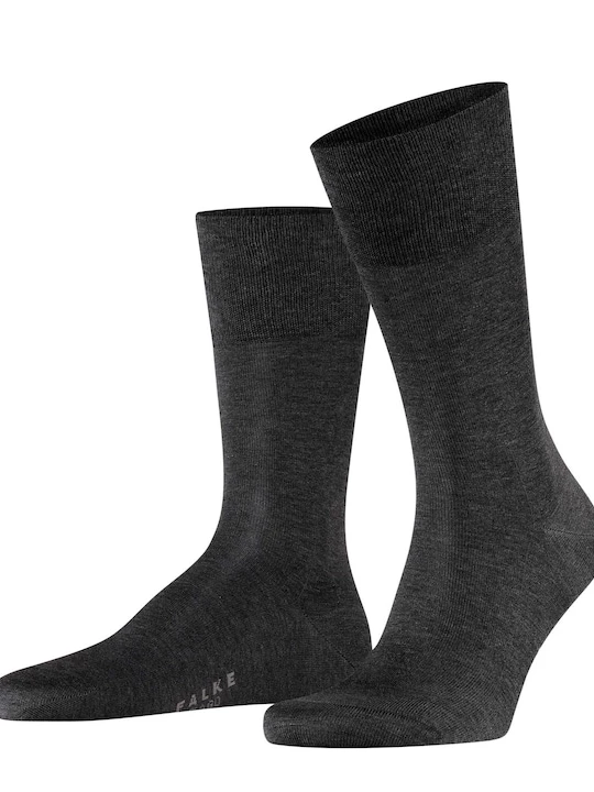 Foto van product FALKE Sokken grijs / donkergrijs