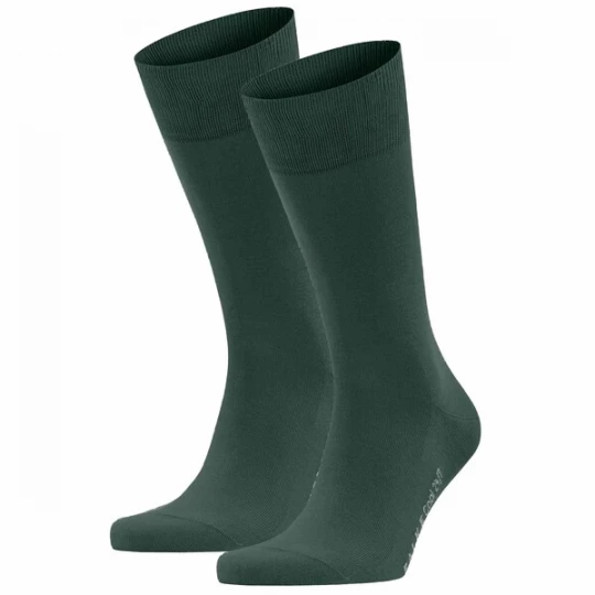 Foto van product FALKE Sokken groen