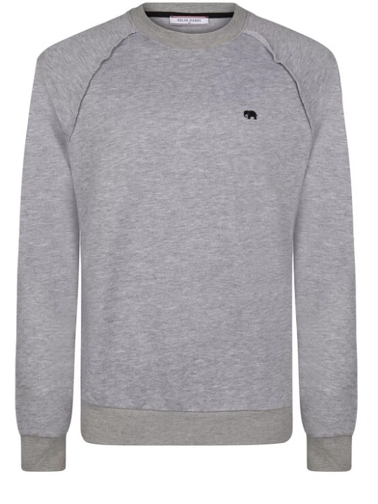 Foto van product Felix Hardy Sweatshirt grijs