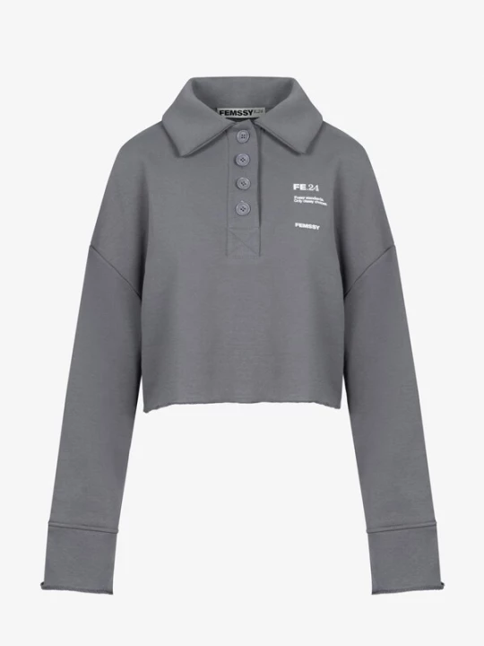 Foto van product FEMSSY Sweatshirt 'COLLAR SWEATSHIRT GREY' grijs