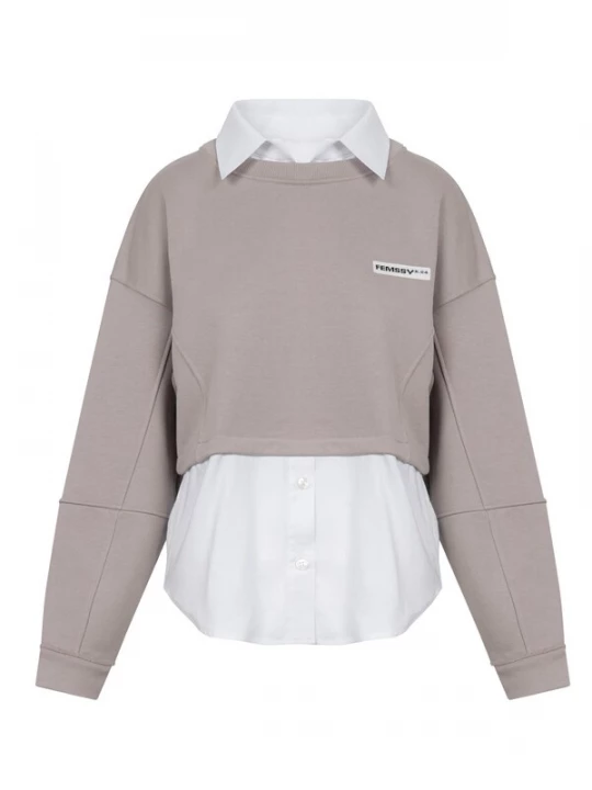 Foto van product FEMSSY Sweatshirt 'LAYA SWEATSHIRT BEIGE' beige