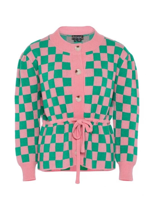 Foto van product FENIA Gebreid vest groen / rosa