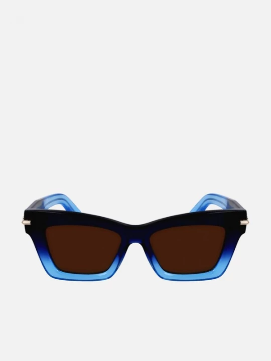 Foto van product FERRAGAMO Zonnebril blauw