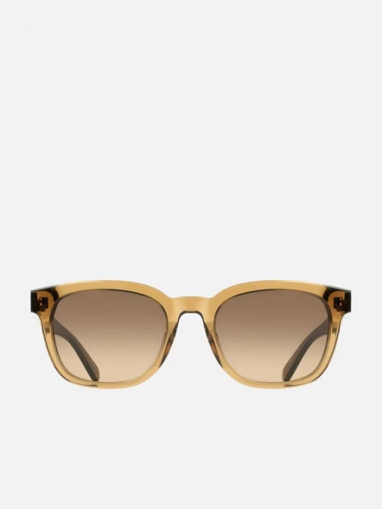 Foto van product FERRAGAMO Zonnebril 'Ferragamo SF2107S Transparent avio / 21 / 145 MAN Sunglasses' bruin