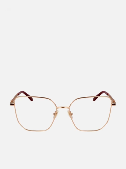 Foto van product FERRAGAMO Zonnebril 'Ferragamo SF2234 Rose gold / 16 / 140 WOMAN Eyewear Frame' rose-goud