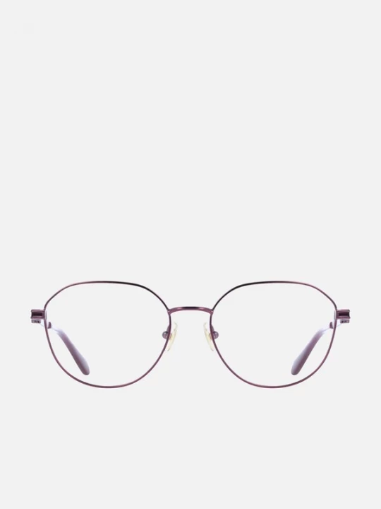 Foto van product FERRAGAMO Zonnebril 'Ferragamo SF2236 Matte rose gold / 18 / 140 WOMAN Eyewear Frame' rood
