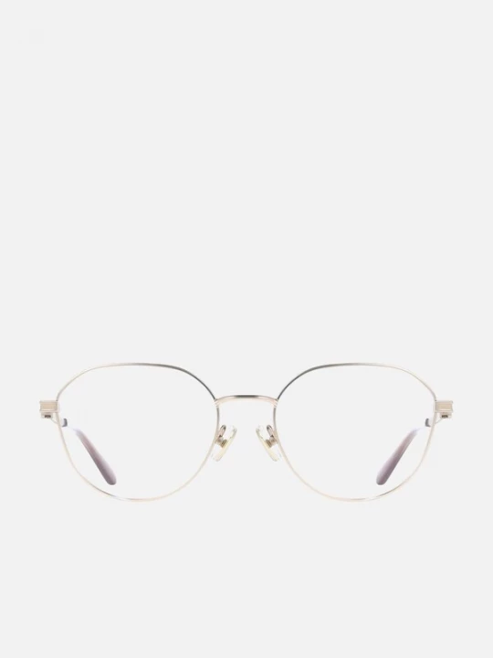 Foto van product FERRAGAMO Zonnebril 'Ferragamo SF2236 Matte rose gold / 18 / 140 WOMAN Eyewear Frame' rose-goud