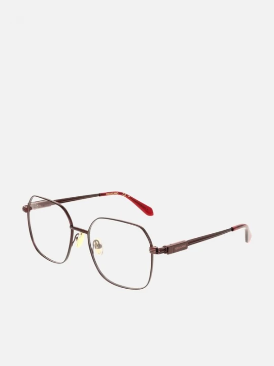 Foto van product FERRAGAMO Zonnebril 'Ferragamo SF2239' bruin