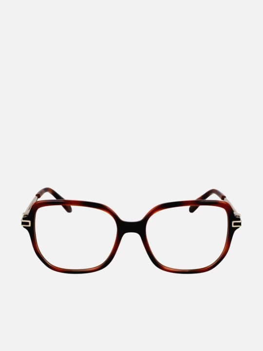 Foto van product FERRAGAMO Zonnebril 'Ferragamo SF3012 Transparent green / 16 / 140 WOMAN Eyewear Frame' bruin