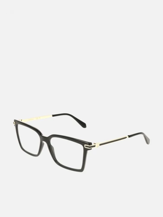 Foto van product FERRAGAMO Zonnebril 'Ferragamo SF3039' zwart