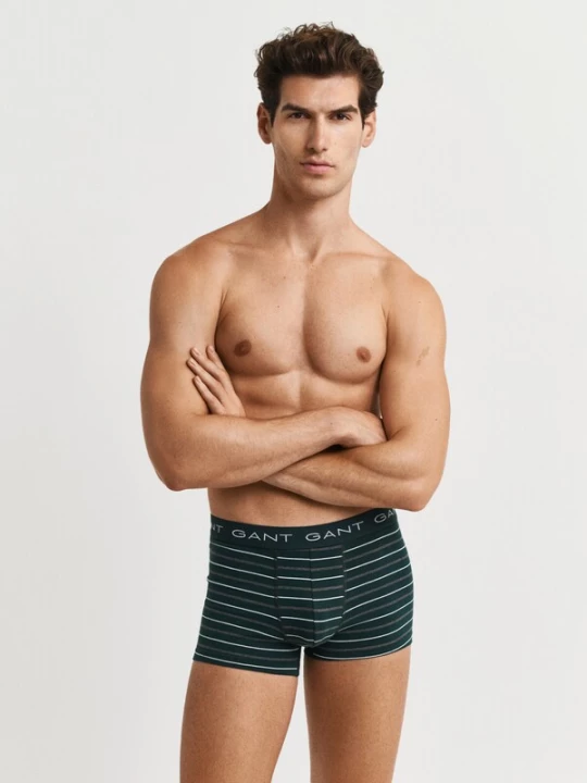 Foto van product GANT Boxershorts donkergrijs / groen / wit
