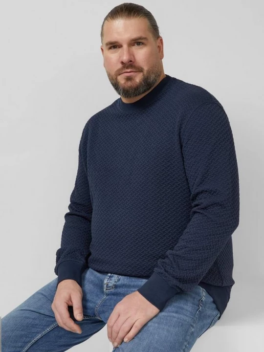 Foto van product Gestructureerd sweatshirt met ronde hals s.Oliver blauw