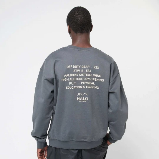 Foto van product Graphic Boxy Crew Halo grijs