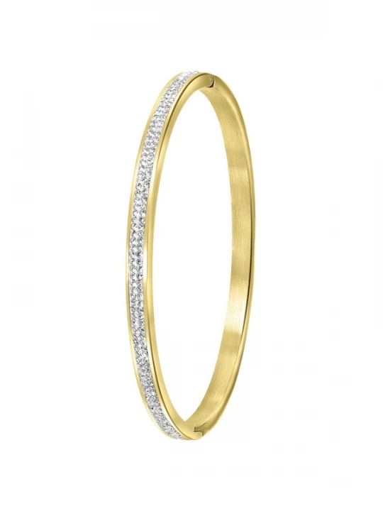 Foto van product GUESS Armband goud / transparant