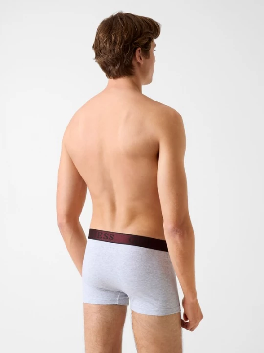 Foto van product GUESS Boxershorts grijs / rood / zwart