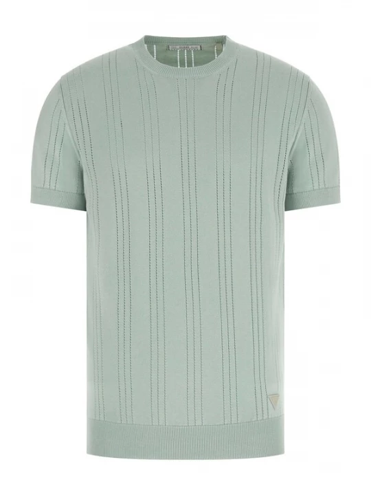 Foto van product GUESS Shirt 'Lindon' groen