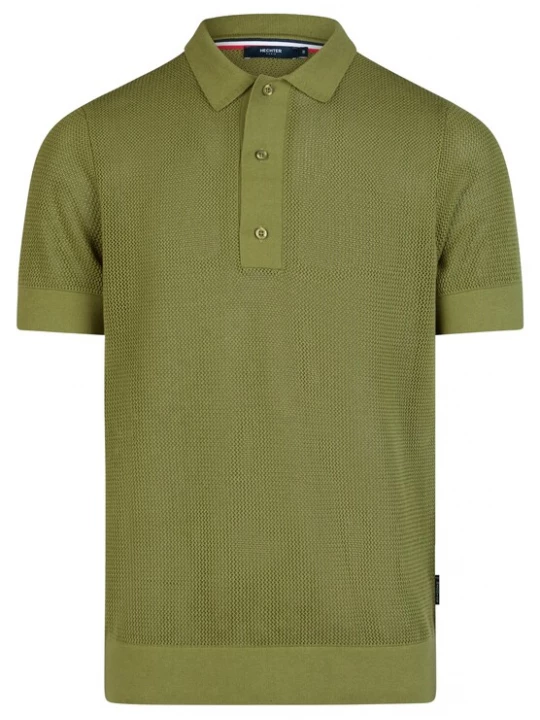 Foto van product HECHTER PARIS Shirt 'STRICK POLO' groen