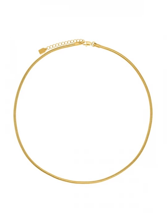 Foto van product Heideman Ketting goud