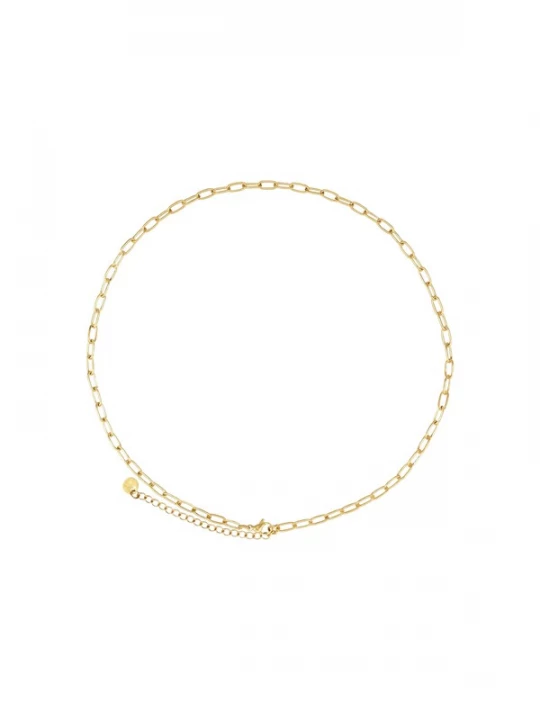 Foto van product Heideman Ketting 'Malik' goud