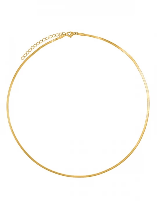 Foto van product Heideman Ketting 'Rick' goud