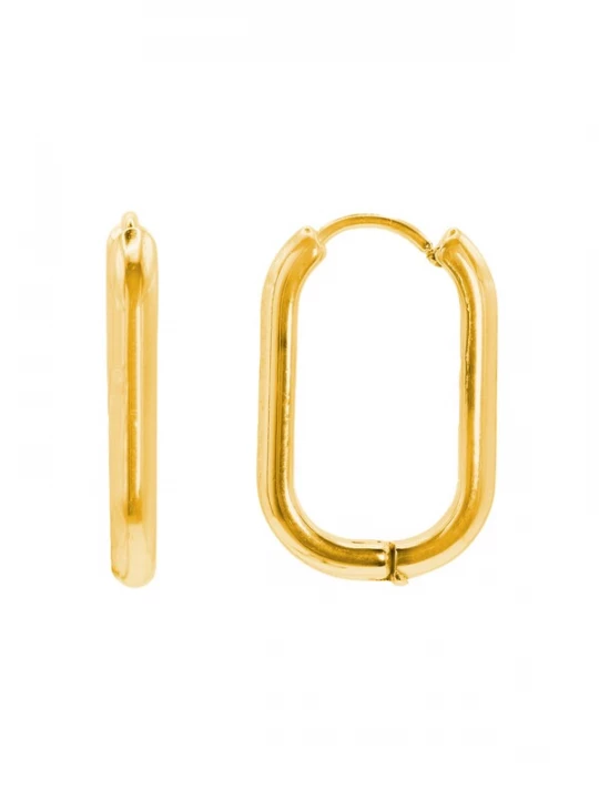 Foto van product Heideman Oorbel 'Aemil' goud