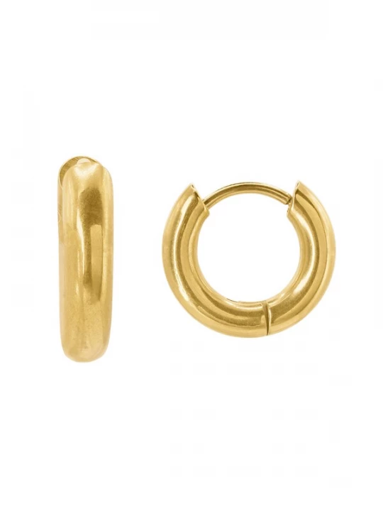 Foto van product Heideman Oorbel 'Norban' goud