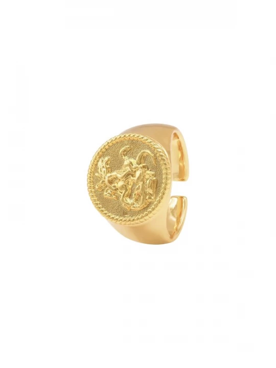Foto van product Heideman Ring 'Rurik' goud