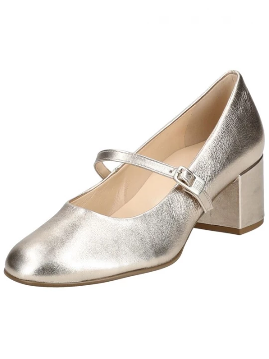 Foto van product Högl Pumps zilver