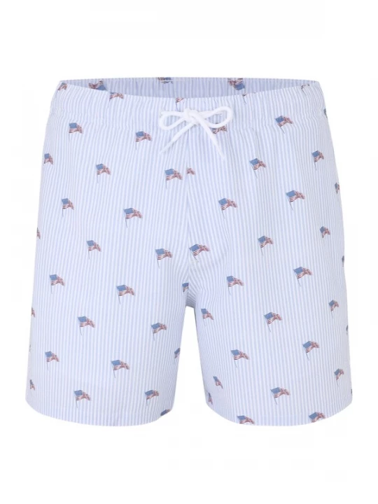Foto van product HOLLISTER Boxershorts blauw / lichtblauw / rood / wit