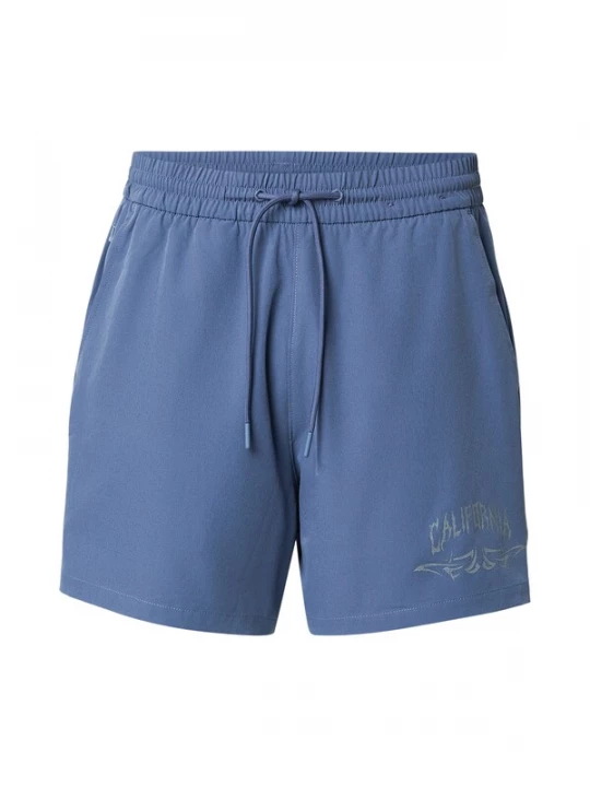 Foto van product HOLLISTER Broek grijs / violetblauw