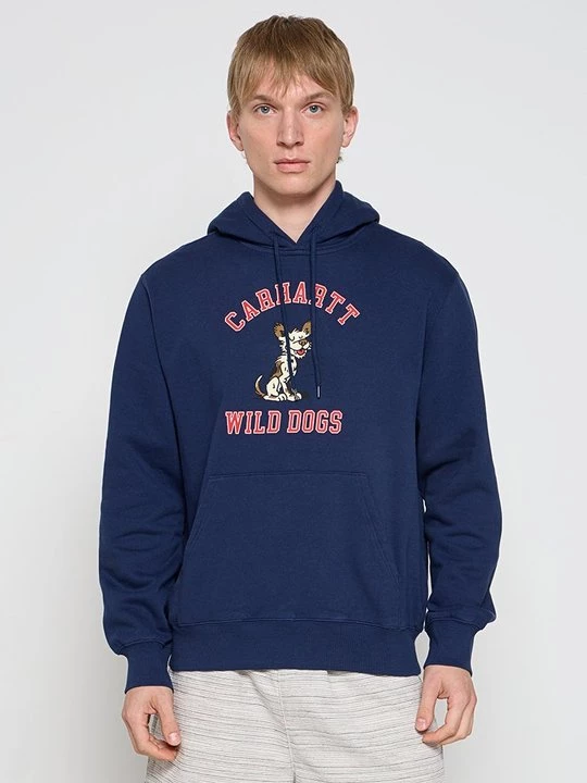 Foto van product Hoodie Carhartt WIP groen